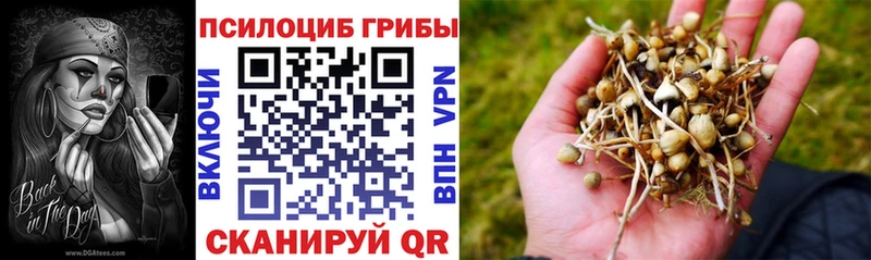 Купить где  Гулькевичи  Галлюциногенные грибы MAGIC MUSHROOMS 